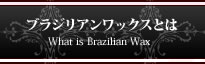 ブラジリアンワックスとは